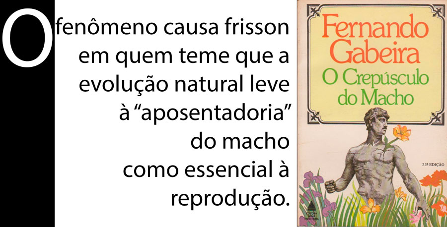 SINUCA DE BICO - POR CARLOS SPERANÇA - News Rondônia