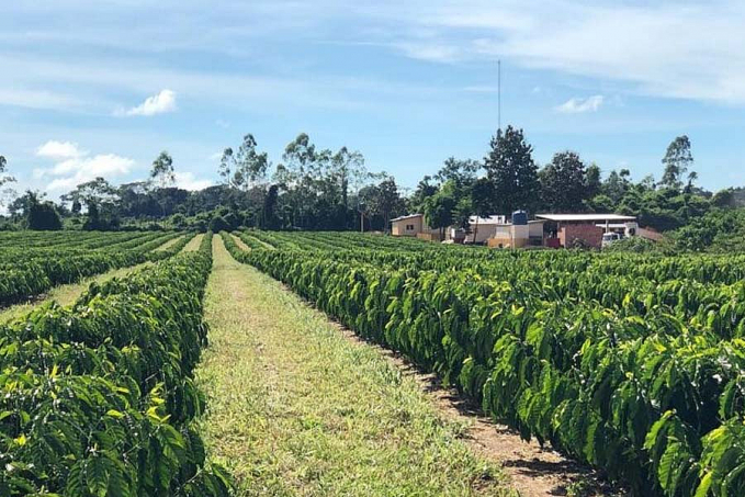 COFFEA Trips chega a Cacoal - News Rondônia