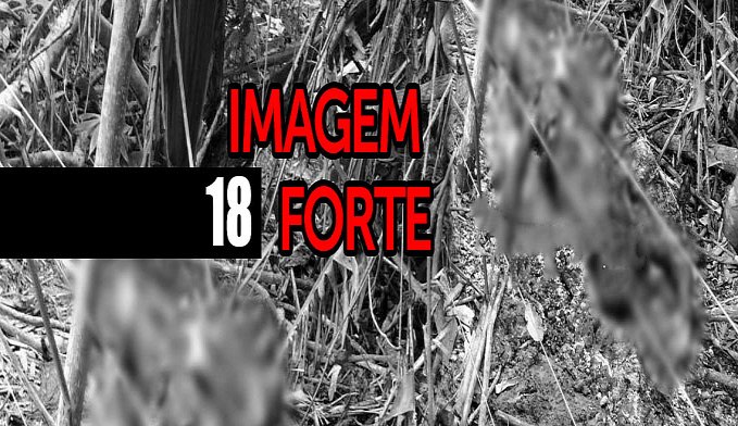 ATUALIZADA: POLÍCIA LOCALIZA CORPO CARBONIZADO NA RO-479 - News Rondônia
