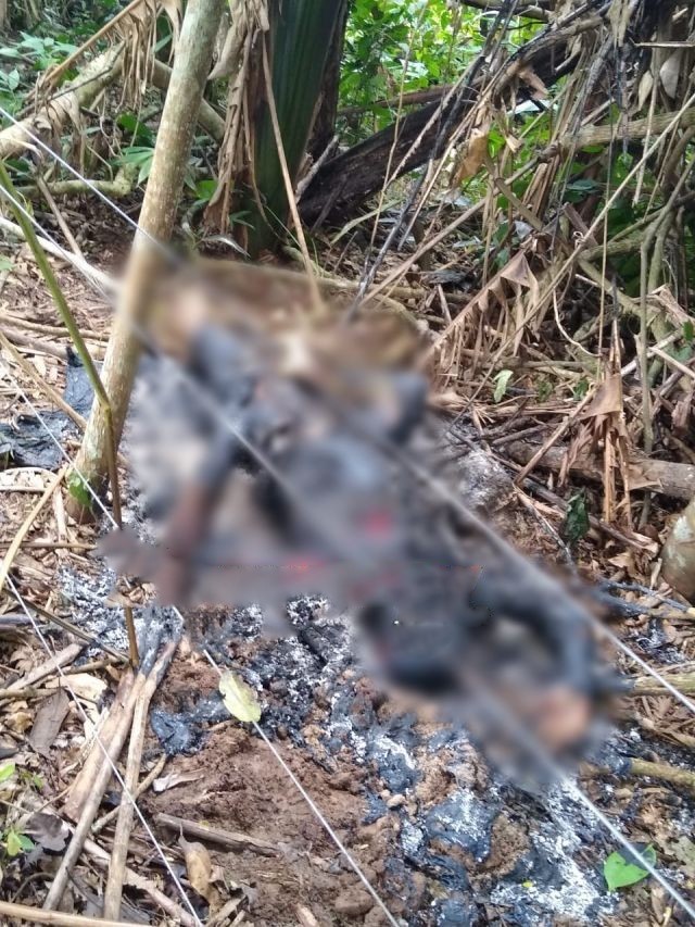 ATUALIZADA: POLÍCIA LOCALIZA CORPO CARBONIZADO NA RO-479 - News Rondônia