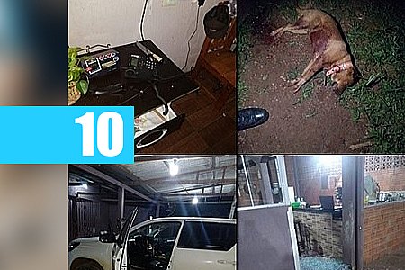 BANDIDOS INVADEM FAZENDA E PRENDEM FAMÍLIA DURANTE ASSALTO - News Rondônia