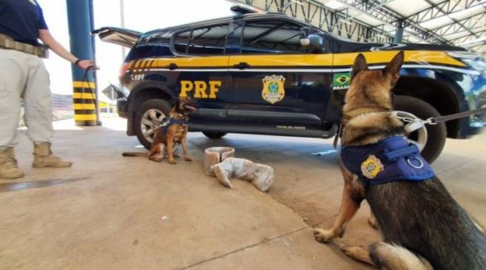 SEM LIMITES: Com dificuldades para andar, duas peruanas são presas em MT levando cocaína nas pernas de Rondônia para SP - News Rondônia