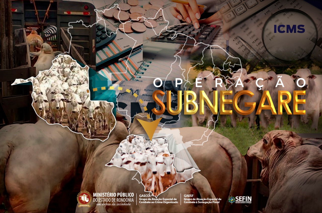 OPERAÇÃO SUBNEGARE  MP amplia investigações para desarticular esquema de sonegação fiscal na comercialização de gado - News Rondônia