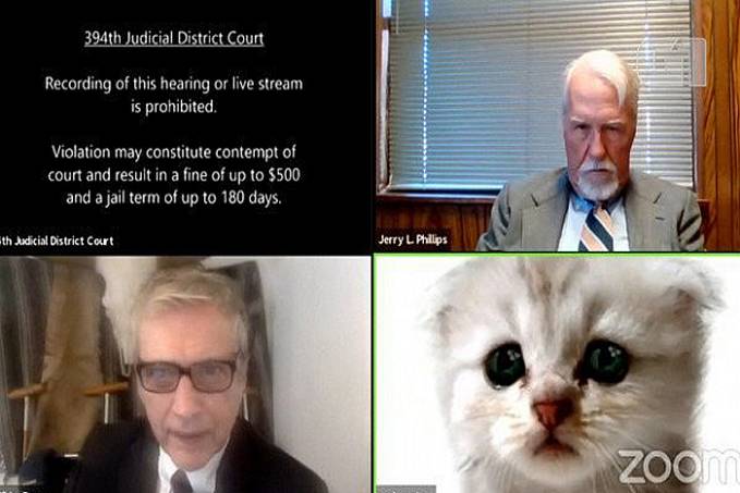 MEME: Sem querer, advogado ativa filtro de gato em audiência virtual - News Rondônia