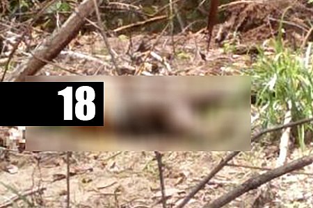 JOVEM MATA VIZINHO DE SÍTIO E DESOVA CORPO EM RIO - News Rondônia