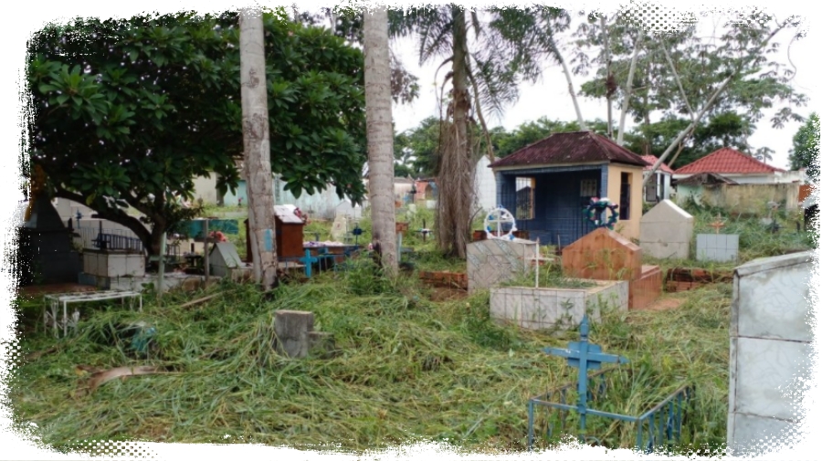 Cemitério de Guajará-Mirim é alvo de vandalismo - News Rondônia