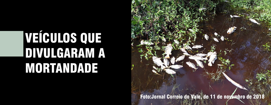 MORTANDADE DE PEIXES NO GUAPORÉ: RIO SÃO MIGUEL COM SUSPEITA DE USO DE AGROTÓXICO - News Rondônia