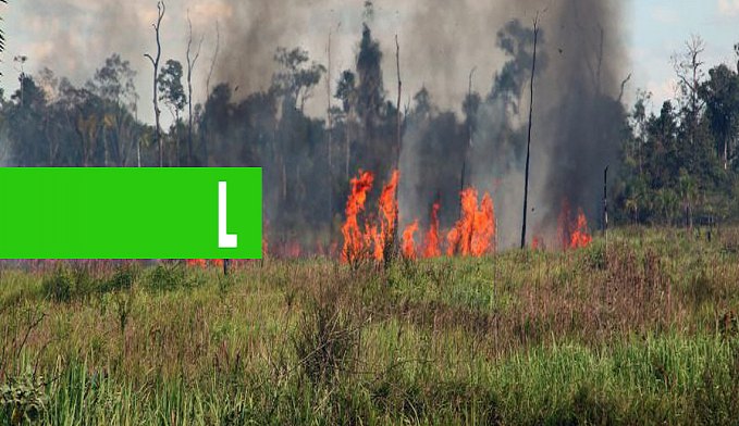 SEDAM ALERTA SOBRE RISCOS DE QUEIMADAS E COMO PROCEDER EM CASO DE DENÚNCIAS; JULHO A OUTUBRO É CONSIDERADO O PERÍODO MAIS CRÍTICO EM RO - News Rondônia