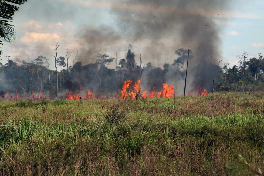 SEDAM ALERTA SOBRE RISCOS DE QUEIMADAS E COMO PROCEDER EM CASO DE DENÚNCIAS; JULHO A OUTUBRO É CONSIDERADO O PERÍODO MAIS CRÍTICO EM RO - News Rondônia