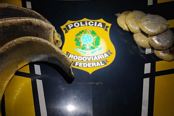 Peruanas são presas com 12,5 kg de cocaína em barreira da PRF em Ji-Paraná; droga seria levada para SP - News Rondônia