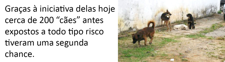 COM 'CASTRAÇÃO', MUNICÍPIO ESPERA REDUZIR A POPULAÇÃO DE CÃES E GATOS EM SITUAÇÃO DE VULNERABILIDADE - News Rondônia