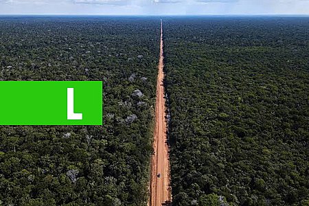 BR-319 FORA DO PACOTE: GOVERNO PLANEJA GASTAR R$ 100 BI EM RODOVIAS - News Rondônia