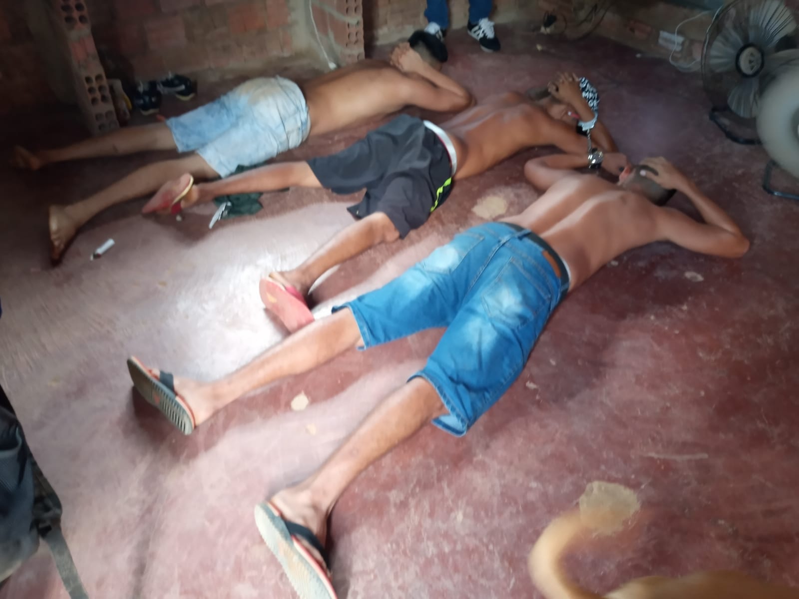 BOCA DO PITBULL: Denarc prende traficantes com drogas em boca de fumo monitorada e vigiada por cães na capital - News Rondônia