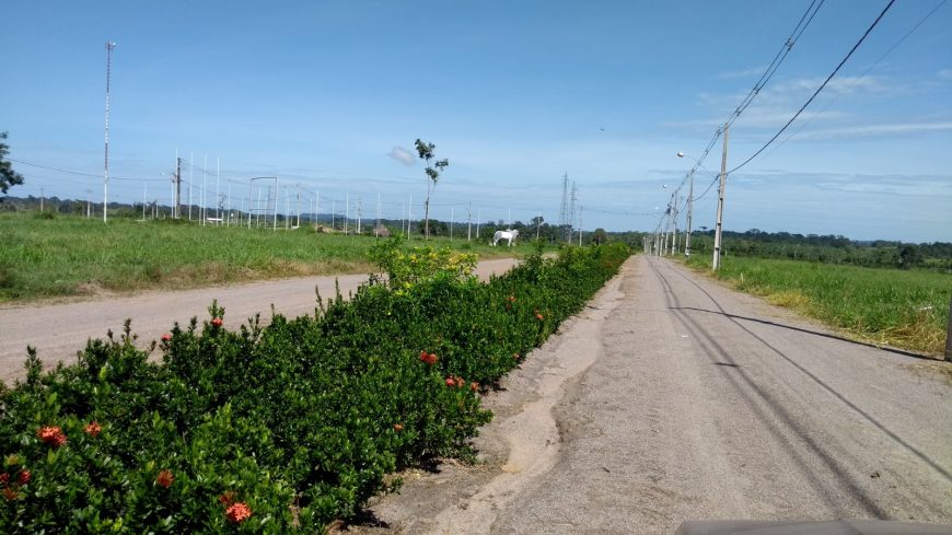 PARQUE TECNOLÓGICO SERÁ REESTRUTURADO PARA REALIZAÇÃO DA 8ª RONDÔNIA RURAL SHOW, EM MAIO, EM JI-PARANÁ - News Rondônia