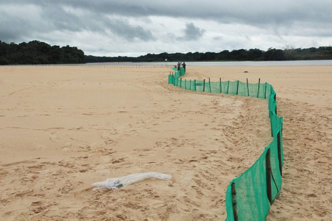 Sedam acompanha preparativos para soltura de tartarugas que acontece em Costa Marques - News Rondônia