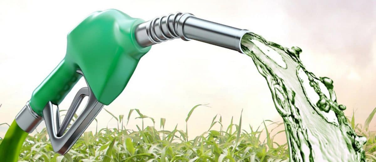 PRODUÇÃO TOTAL DE ETANOL DEVE FICAR EM 31,6 BILHÕES DE LITROS - News Rondônia