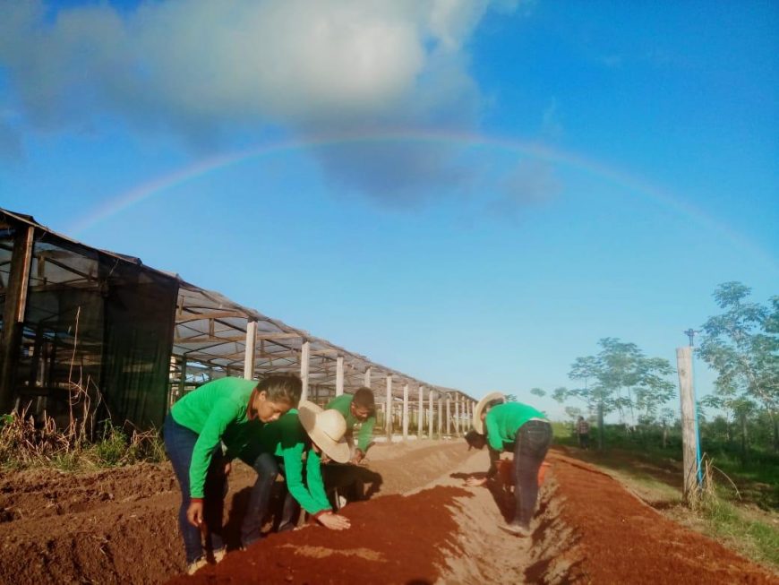 CENTRO TÉCNICO ABAITARÁ PROMOVE INSERÇÃO AO MERCADO DE TRABALHO PARA QUILOMBOLAS, INDÍGENAS E RIBEIRINHOS - News Rondônia