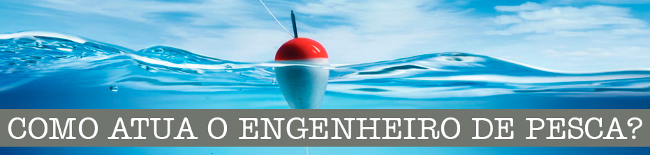DIA DO ENGENHEIRO DE PESCA: 14 DE DEZEMBRO - News Rondônia