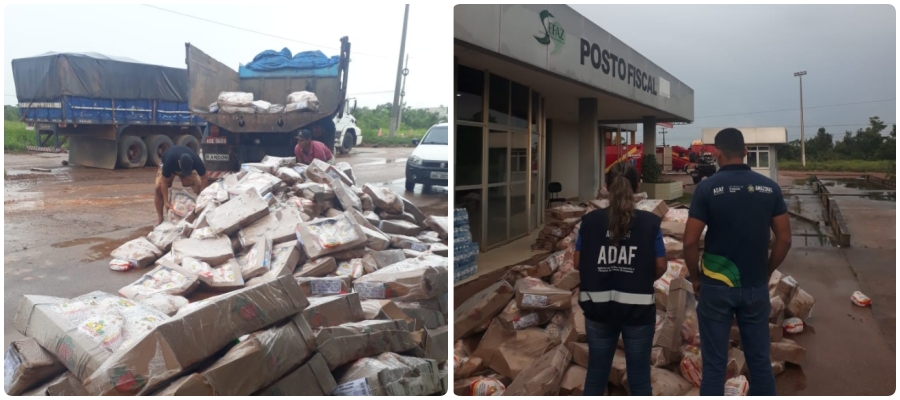 Pessoas tentam desenterrar carga de frango que saiu de Rondônia no lixão de Humaitá - News Rondônia