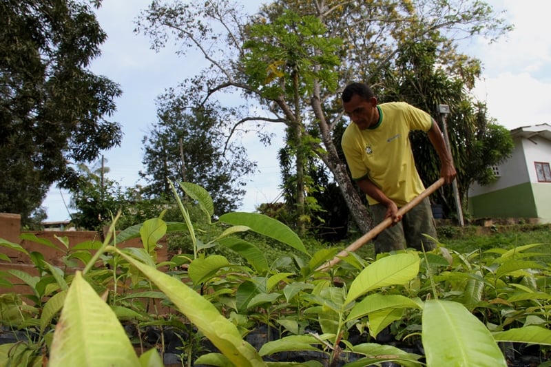 AGRICULTOR QUE ADERIR AO PROGRAMA DE RECUPERAÇÃO AMBIENTAL TERÁ APOIO DO GOVERNO PARA FAZER REGULARIZAÇÃO AMBIENTAL - News Rondônia