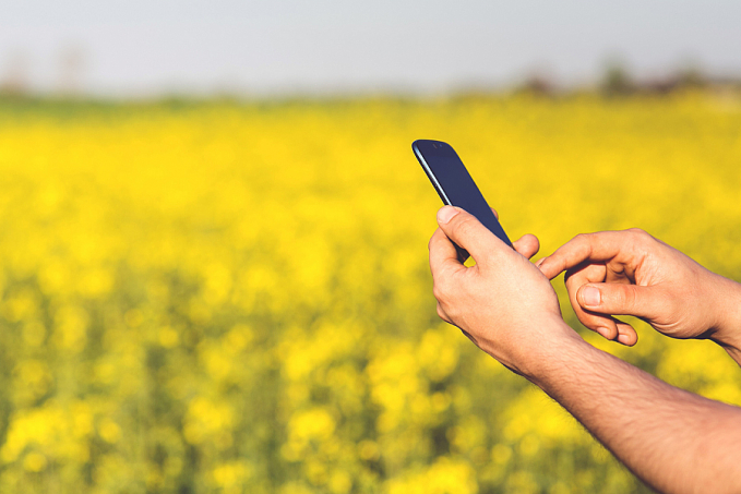 Uso de smartphones na agricultura é maior no Brasil do que nos EUA - News Rondônia