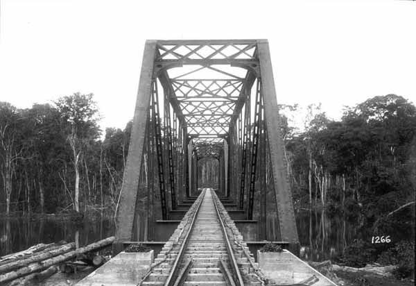É VIÁVEL A RECONSTRUÇÃO DOS PRIMEIROS 7 KM DO TRECHO DA EFMM À VILA SANTO ANTÔNIO; DEPOIS À GUAJARÁ-MIRIM - News Rondônia
