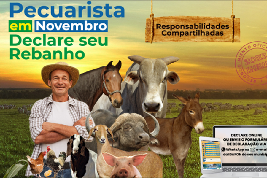 Pecuaristas de Rondônia têm até dia 30 deste mês para finalizarem a declaração de rebanhos para a Idaron - News Rondônia