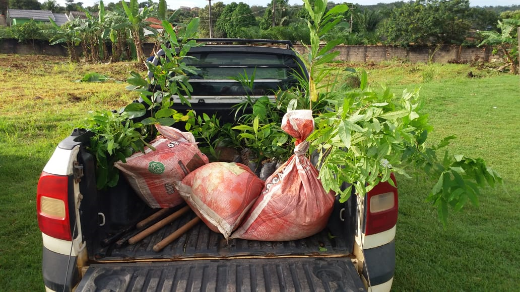 PROJETO CULTIVANDO CIDADANIA É DESENVOLVIDO EM ARIQUEMES - News Rondônia
