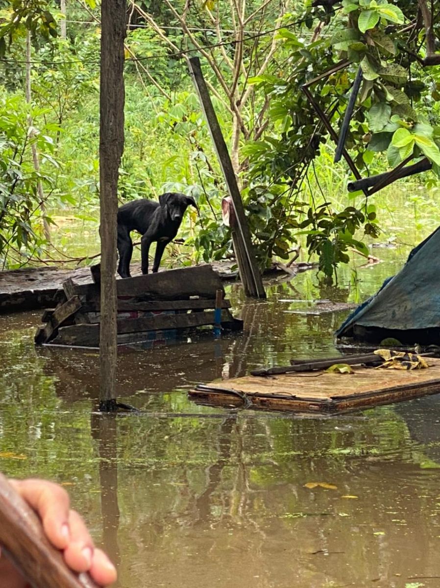 Vereador Carlos Damaceno busca melhorias para Comunidade Mutum - News Rondônia Vereador Carlos Damaceno busca melhorias para Comunidade Mutum - News Rondônia