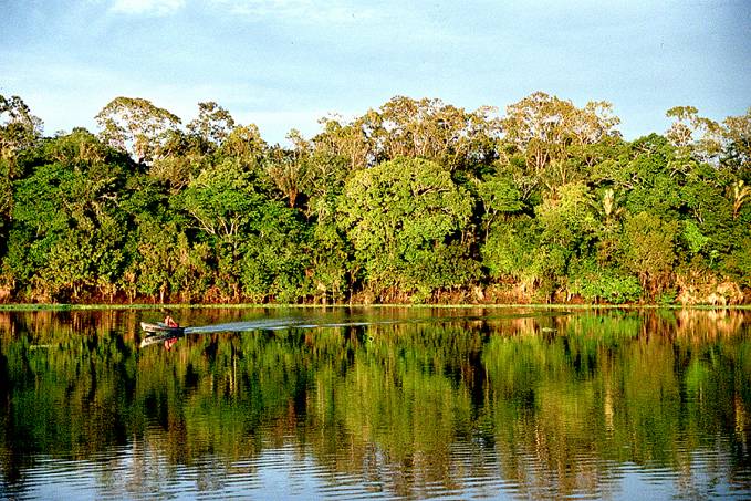 O fascínio com a Amazônia e a importância da floresta para o mundo - News Rondônia