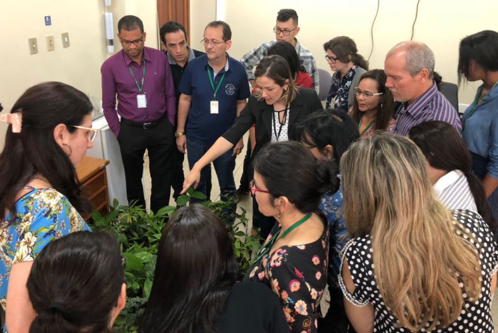 SERVIDORES E MAGISTRADOS DE JI-PARANÁ RECEBEM MUDAS E PARTICIPAM DE PALESTRA SOBRE O MEIO AMBIENTE - News Rondônia