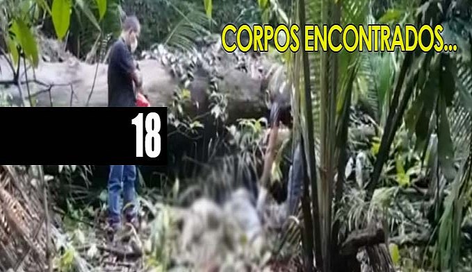 TRÊS CORPOS SÃO LOCALIZADOS EM MATA APÓS POLÍCIA RECEBER DENÚNCIA DE RAPTO - News Rondônia