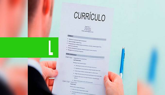 NA BUSCA POR EMPREGO: CONFIRA DICAS PARA FAZER O CURRÍCULO IDEAL - News Rondônia