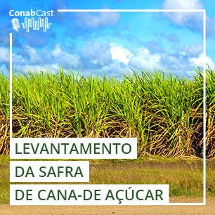Boletim da Conab aponta nova redução na safra de cana-de-açúcar devido ao clima - News Rondônia