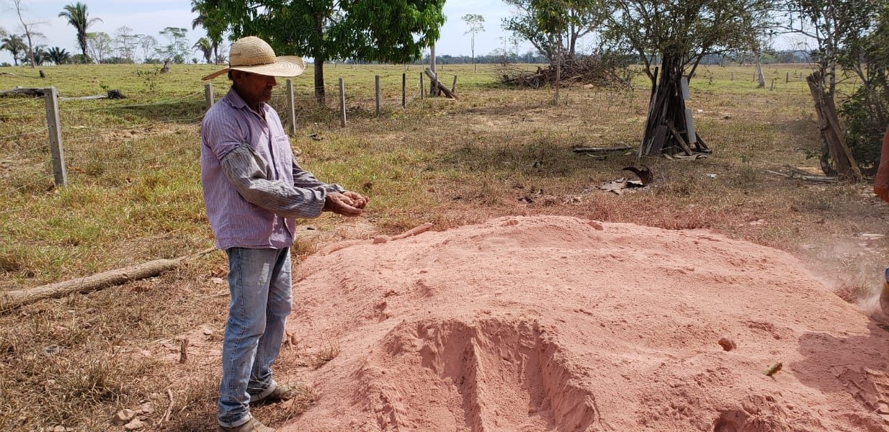 AGRICULTORES DE RONDÔNIA SÃO BENEFICIADOS COM A ENTREGA DE CALCÁRIO - News Rondônia