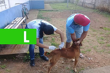 SEMSAU DIVULGA BALANÇO DA VACINAÇÃO CONTRA A RAIVA EM ARIQUEMES - News Rondônia