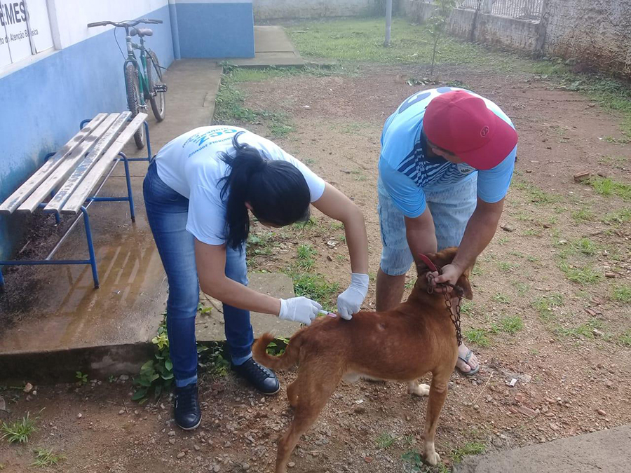 SEMSAU DIVULGA BALANÇO DA VACINAÇÃO CONTRA A RAIVA EM ARIQUEMES - News Rondônia
