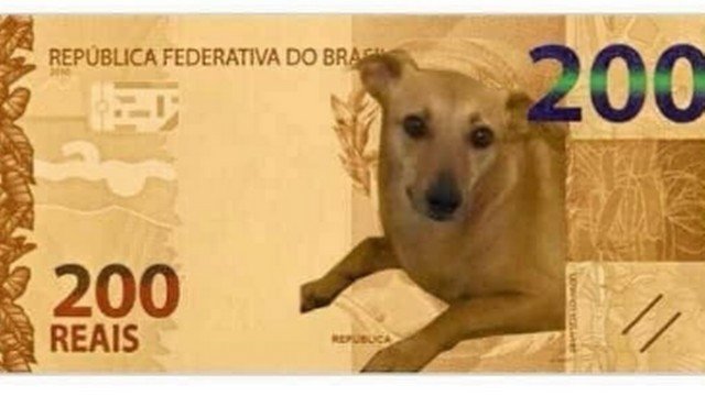 Banco Central estuda ação para vira-lata caramelo após petição de nota de R$ 200 - News Rondônia
