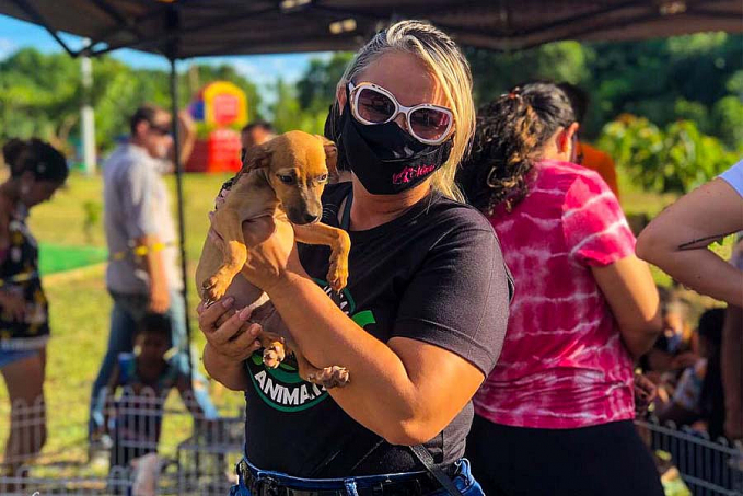 Lei que obriga agressores de animais domésticos a pagarem tratamento veterinário em Porto Velho é sancionada - News Rondônia