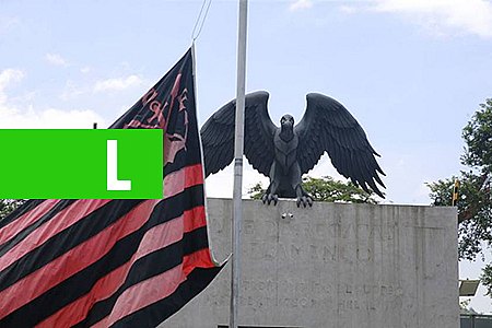 SOBREVIVENTES DO CT SE REAPRESENTAM AO FLAMENGO NA SEGUNDA-FEIRA (11) - News Rondônia