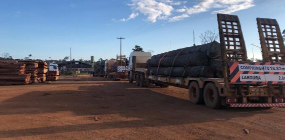MADEIRA APREENDIDA NA OPERAÇÃO ARCO VERDE 2 SERÁ USADA NA RECUPERAÇÃO DE PONTES EM RONDÔNIA - News Rondônia