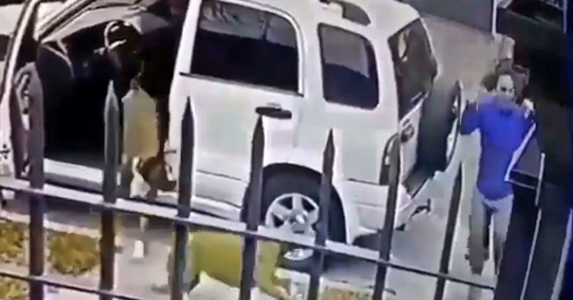 CACHORROS COLOCAM BANDIDOS PRA CORRER QUANDO TENTAVAM ASSALTAR SEU DONO; VEJA VÍDEO - News Rondônia