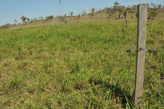 Sedam lança plataforma digital que emite autorização para uso controlado de fogo em áreas de vegetação em Rondônia - News Rondônia
