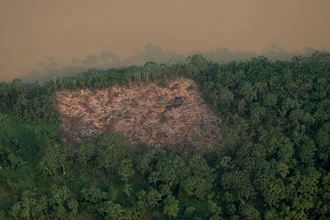 Aumento nas emissões de carbono pode reduzir em 12% volume de chuvas nos 9 países da Amazônia, diz estudo - News Rondônia