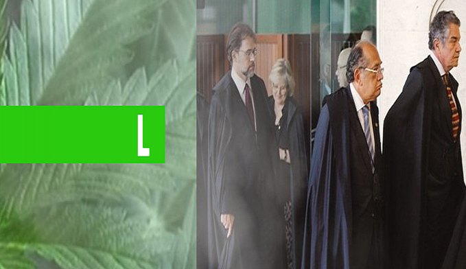 STF PODE LIBERAR A MACONHA NO BRASIL NOS PRÓXIMOS DIAS - News Rondônia