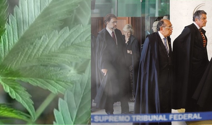 STF PODE LIBERAR A MACONHA NO BRASIL NOS PRÓXIMOS DIAS - News Rondônia
