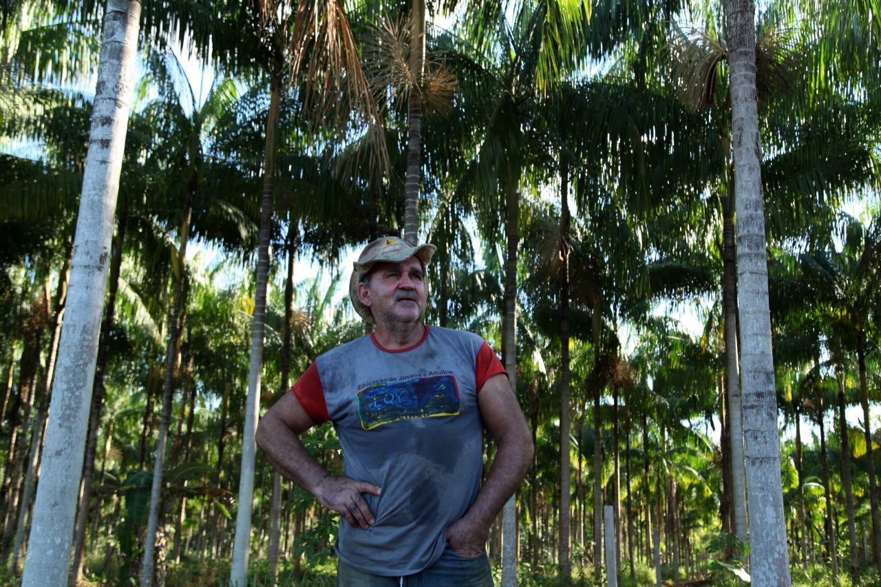 O AGRONEGÓCIO VEM TRANSFORMANDO A PONTA DO ABUNÃ EM RONDÔNIA - News Rondônia