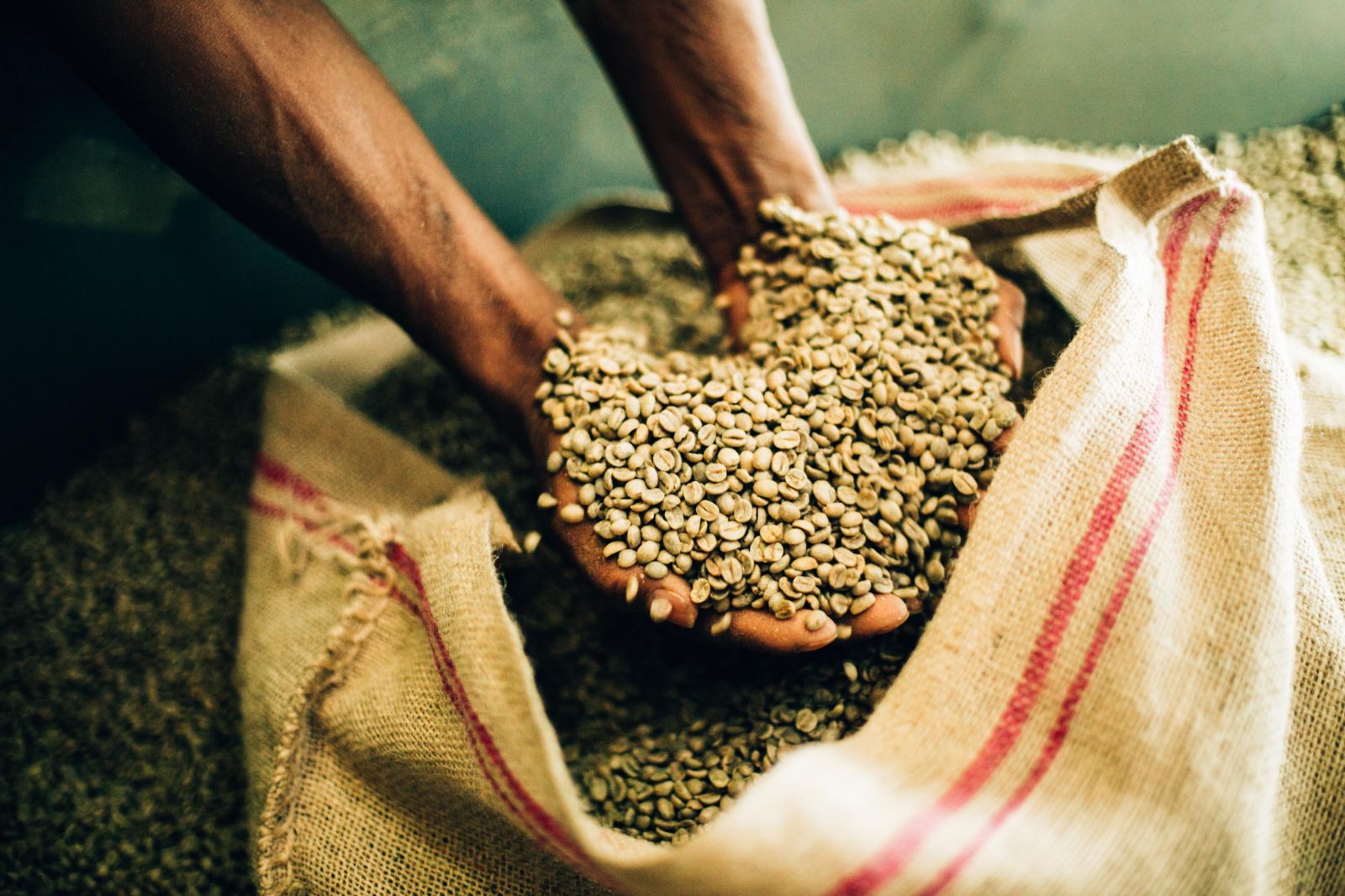 CASTANHAL É DESTAQUE NA SEMANA INTERNACIONAL DO CAFÉ 2019 - News Rondônia