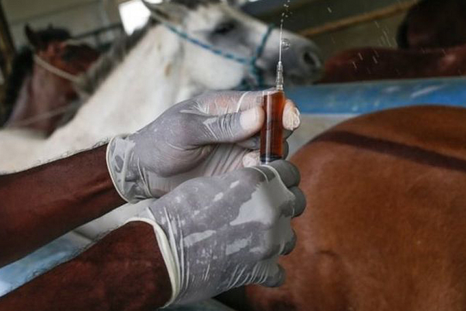 Covid-19: o que se sabe sobre soro desenvolvido e em fase de testes pelo Butantan - News Rondônia