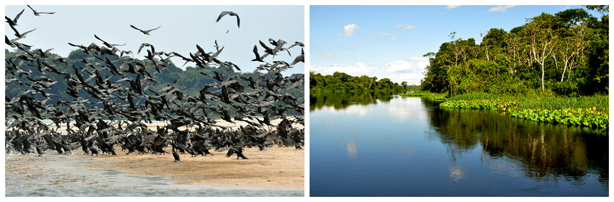 PLANO DE USO PÚBLICO DO PARQUE ESTADUAL CORUMBIARA - News Rondônia